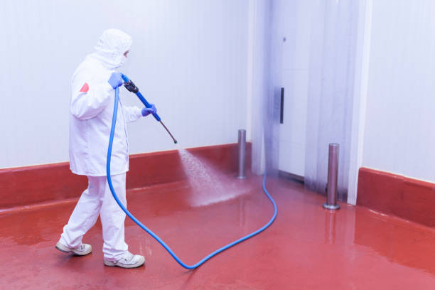 Best Patio and Deck Pressure Washing  in Chapman, KS